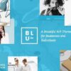 Blu – A Beautiful Theme for Businesses and Individuals 1.3 3 Screenshot 116 560x296 1