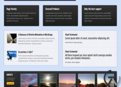 OboxThemes Gloss Surface WordPress Theme 2.0.2
