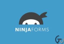 Download Monitor Ninja Forms 5.0.0