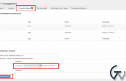 WordPress Multilingual Translation Management Addon 2.10.8