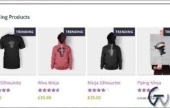 WooCommerce Trending Products 1.2