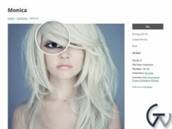 Graph Paper Press Sell Media Magnifier Addon 2.0.1