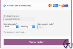 WooCommerce Beanstream Payment Gateway 2.9.3