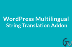 WordPress Multilingual String Translation Addon 3.2.3
