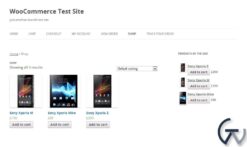 WooCommerce Products of the Day 1.2.1