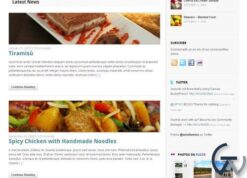 WooThemes Delicious Magazine Premium Theme 1.1.15