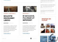 WooThemes Daily Edition Premium Theme 1.6.9