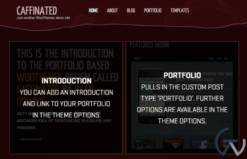 WooThemes Caffeinated Premium Theme 1.2.2