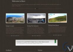 WooThemes Buro Premium Theme 1.3.10