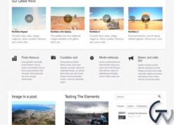 WooThemes Olya Premium Theme 1.2.22