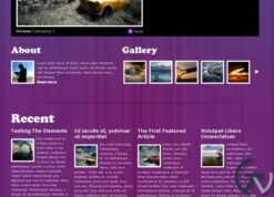 WooThemes Groovy Blog Premium Theme 1.6.4