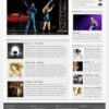 platinum wordpress theme