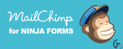 Ninja Forms MailChimp 3.3.4