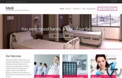 CSSIgniter Medi WordPress Theme 1.7.1