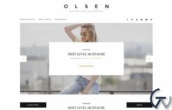 CSSIgniter Olsen WordPress Theme 2.8.4