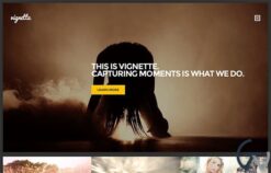 CSSIgniter Vignette WordPress Theme 1.8