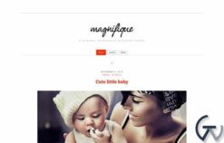 CSSIgniter Magnifique WordPress Theme 1.6