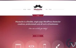 CSSIgniter Mustache WordPress Theme 1.7