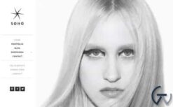 Viva Themes Soho WordPress Theme 2.4