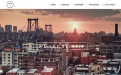 Viva Themes Telesis WordPress Theme 1.4