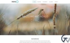 Viva Themes Indigo WordPress Theme 2.2