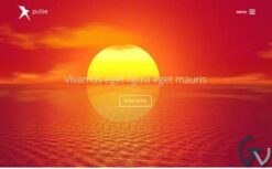 Viva Themes Pulse WordPress Theme 1.1.0