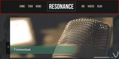 CyberChimps Resonance Pro WordPress Theme 1.3