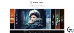 CyberChimps Grandstand WordPress Theme 1.6