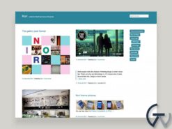 Elmastudio Nori WordPress Theme
