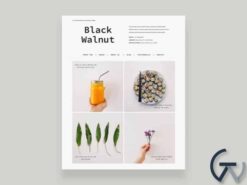 Elmastudio Black Walnut WordPress Theme 1.0.5