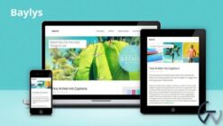 Elmastudio Baylys WordPress Theme 1.1.4