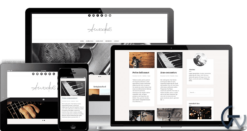 Amadeus Pro WordPress Theme 1.6.1