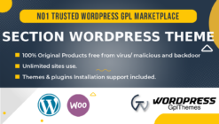 Themes Kingdom Section WordPress Theme