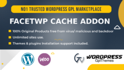 FacetWP Cache Addon