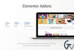 Addons for Elementor Pro 4.6