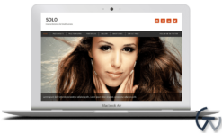ZigZagPress Solo WordPress Theme 1.7