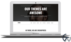 ZigZagPress Single WordPress Theme 1.3.3