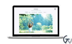 ZigZagPress Novo WordPress Theme 1.2