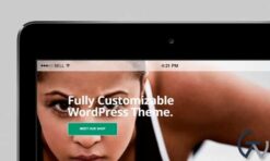 VisualModo Gym WordPress Theme 11.0.3