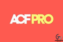 Advanced Custom Fields (ACF) Pro 6.3.6