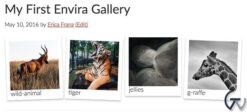 Envira Gallery Themes Addon 2.0.6