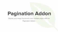 Envira Gallery Pagination Addon 1.8.7