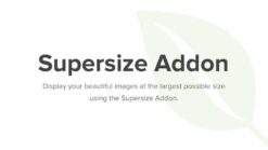 Envira Gallery Schedule Addon 1.2.2