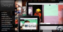 Delight Fullscreen Wordpress Portfolio Theme 5.2.2