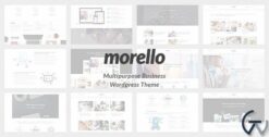 Morello Multipurpose Business WordPress Theme 1.0.3