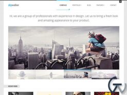 Tesla Themes Skywalker WordPress Theme 1.3.11