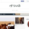 teslathemes saab