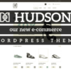 Hudson WordPress Theme featured image 624x359 1