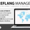 hreflang manager