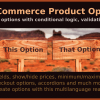 woocommerce product options preview 1